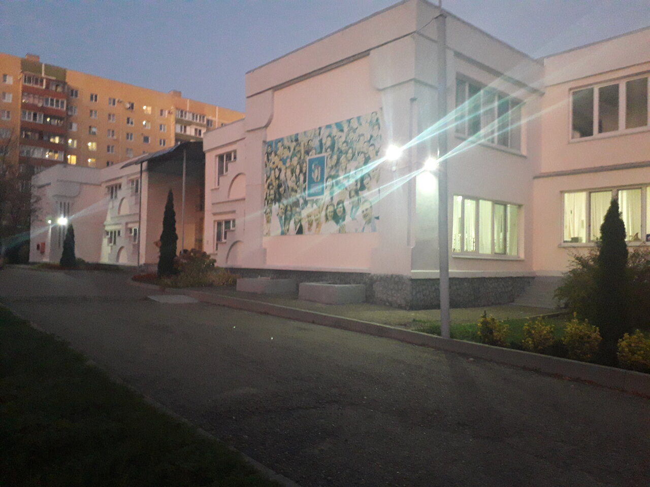 ГБОУ ВО СГПИ