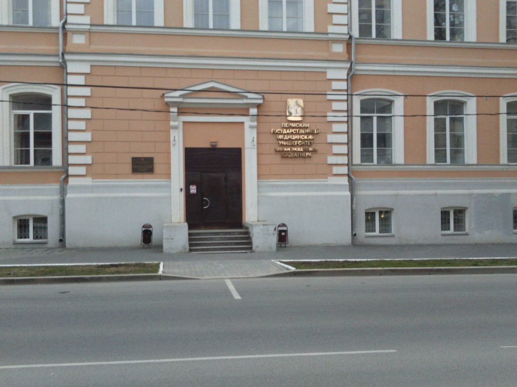 ФГБОУ ВО ПГМУ им. академика Е.А. Вагнера Минздрава России