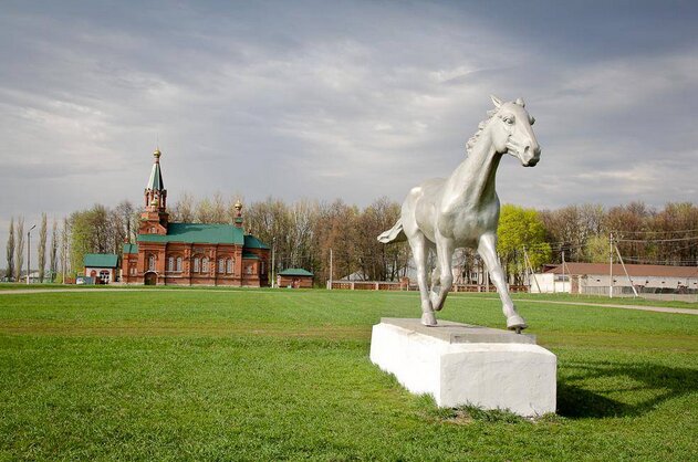 ГБПОУ ВО 
