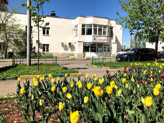 АНО ПО «Колледж КЭСИ»; Колледж КЭСИ